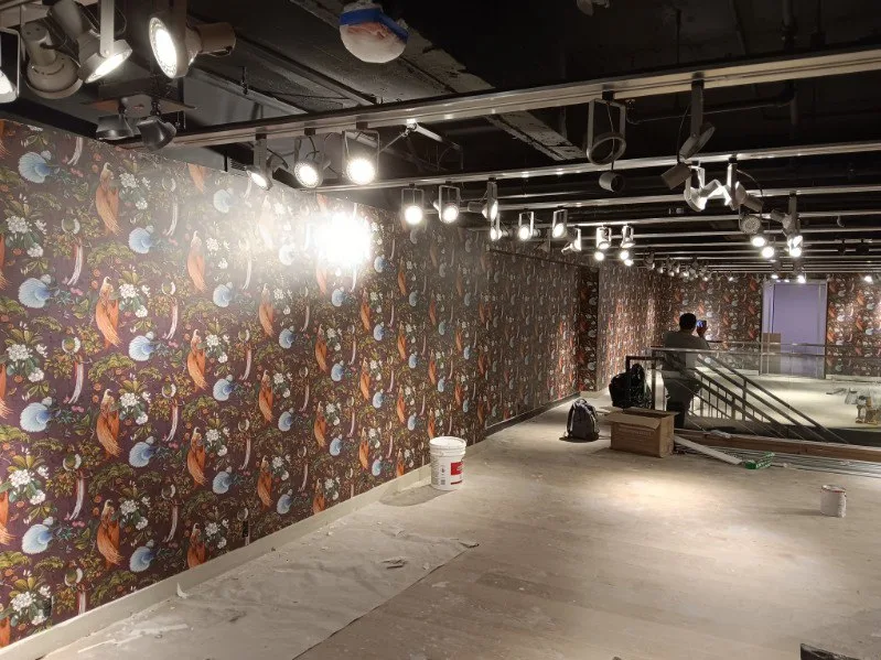 Miami Wallpaper Installation Hollywood
